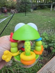 Infantino Flip Flop Frog Rattle BPA-Free Easy To Grip Toy For 0+ Months Babies