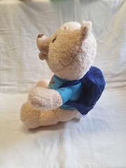 Spark Create Imagine Interactive Learning Bear Recites Stories, Sings Songs READ