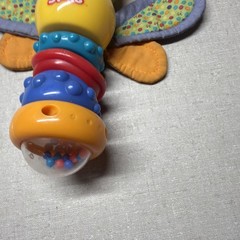 Bright Starts Twisty Bug dragonfly butterfly take along baby toy rattle lights
