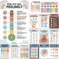 15 Social Emotions Poster for Classroom, 11x17in Educational, Matte-Laminated Ch