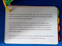 LoveEvery The Thinker Play Guide 11-12 Months