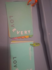 Lovevery The Play Gym Guide Book 0-12 Month Activities and The Inspector 7to8 mt