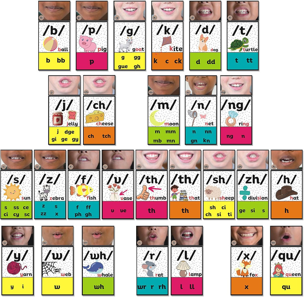 Rainbow Consonants Sound Wall for Classroom Neutral Phonics Kit, Science of Read