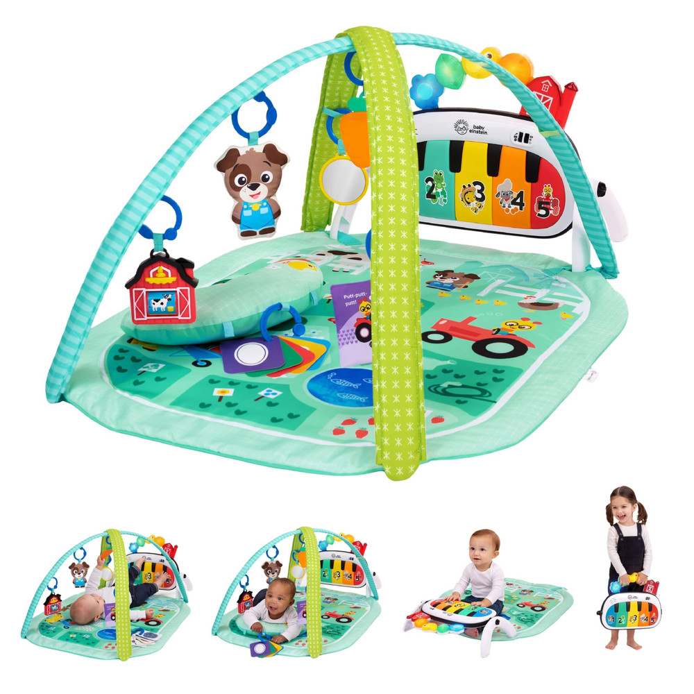 Baby Einstein Farm 1 Count (Pack of 1), Explorers Musical Meadow