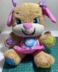 Fisher-Price FDF22 Laugh & Learn Smart Stages Sis Toy