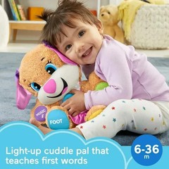 Fisher-Price Toy Laugh & Learn Smart Stages First Words Sis Interactive Bear NEW