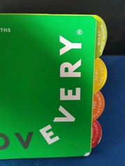 LoveEvery The Thinker Play Guide 11-12 Months