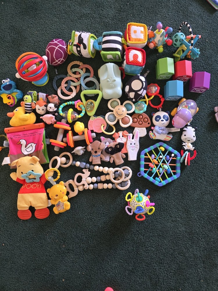Large Infant Toy Bundle Most Are Brand New