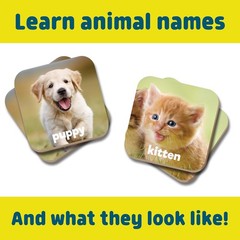 Chuckle Roar Baby Animals Matching Memory Game