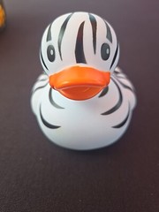 Infantino Rubber Duck Zebra Print