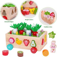 Montessori Wooden Toys for Toddlers 1-3 Old