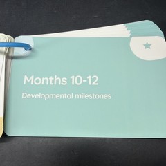 Curious Baby Activity Cards 0-12 Months Complete w/ Box Development Set