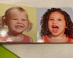 Lovevery The Senser Play Kit for Ages 5-6 month Montessori Wood Toy complete kit