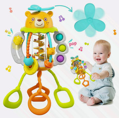 Montessori Teething Toys for 1 Year Old, Sensory Pull String Baby Gift