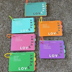 Lovevery Play Guides Months 7-18 Year 1 2 Milestone Parenting Activity Books Lot