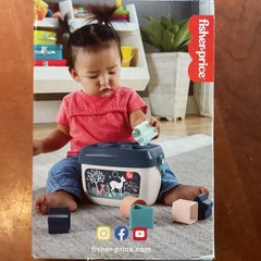 Fisher Price Baby’s First Blocks To Sort 10 Blocks