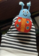 Baby Infant Polyester Garden Bug Foot Rattle Toy