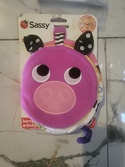 Sassy Barnyard Animals Activity Book Chick 0M+