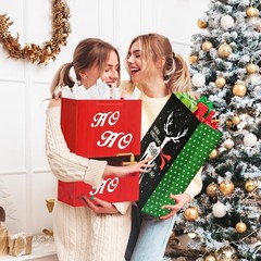 WLUSEAXI 24 Pack Christmas Gift Bags Assorted Sizes with Handles & Tags – 6 J…