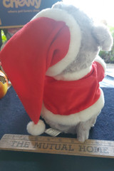 Cuddle Barn Holiday Animated Story Time Plush Teddy Bear-Night Before Christmas