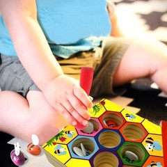 Montessori Bee Hive Toy Fine Motor Skills Color Sorting Toddler Learning 3+ age