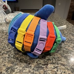 Buckle Toys [Blu Whale] missing zipper