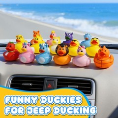 100 Pcs Rubber Ducks, Random Assortment Ducks Bulk for 100 PCS, Multicolor