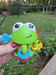 Infantino Flip Flop Frog Rattle BPA-Free Easy To Grip Toy For 0+ Months Babies