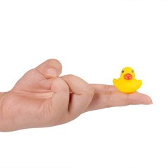 144-Pack Mini Rubber Ducks Set, Colorful Small, Multicolor