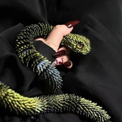 3D Printed Articulated Snake Toy Movable Joint Figure Kids Gift Decor 2026