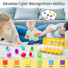 Montessori Matching Egg Toy Set