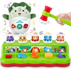 Baby & Toddler Toys for 3-6-12-18 Months with Light and Sound, Learning Birthday