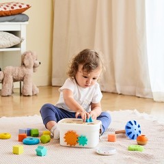 Wooden Shape Sorter and Rainbow Stacker Classic Baby Toy Set Sorting Play
