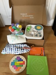 Lovevery Problem Solver Box Kit Toys Children Ages 43 44 45 Months Incomplete