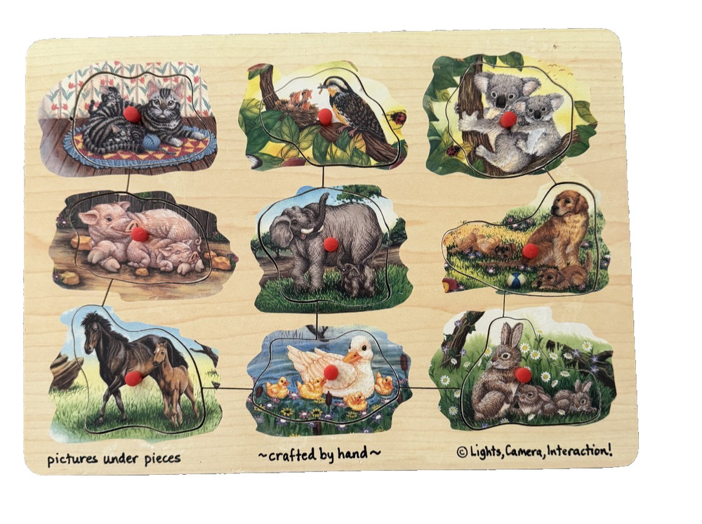 Peg Puzzle child game , 2-4 years old