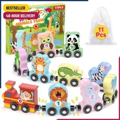 11 Pcs Magnetic Train Set Montessori Toys for 1 2 3 Years Old Toddlers Boys Girl