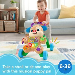 Multicolor Musical Electronic Learning Toy Walker for Infants and Toddlers