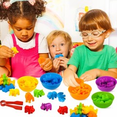 Counting Toys for Kids Animal Matching Game with Sorting Bowls Preschool