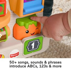 Fisher-Price Grow the Fun Garden Gift Set Learning Toy with Music and Activities