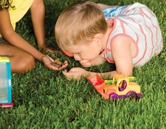 B. toys – Bug Bungalow Insect Catching Kit with Mesh Case, Medium, Multicolor