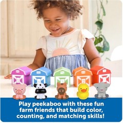Educational Matching Farm Animal Toy