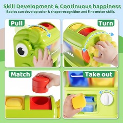 Montessori Shape Sorter Learning Toys for 1 Years Old, Baby Toys 12-18 Months…