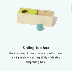 Lovevery ‘The Thinker’ Playkit for 11-12 Month Old Babys