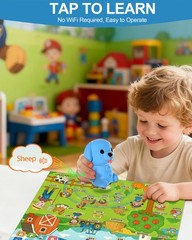 Talking Pen & 20 Laminated Toddler Learning Posters Set – Colorful Educationa…