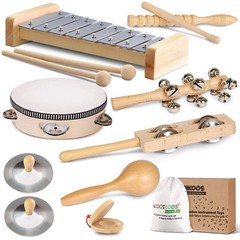 Toddler Musical Instruments, Eco Friendly Music Set for Kids Preschool…