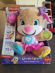 Fisher-Price FDF22 Laugh & Learn Smart Stages Sis Toy