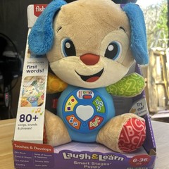 Fisher Price Laugh and Learn Puppy Dog Interactive Plush Stuffed Toy
