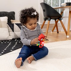 Baby Einstein Roxys Bright 5.18 x 5.29 x 2.14 inches, Flight