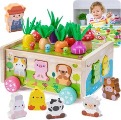 Toddler Montessori Wooden Farm Toys | Babies 12-18 Months Toy with Game Map for
