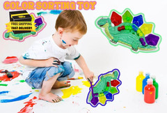 Color Sorting Sensory Toys for Kids, Fine Motor Skills Montessori Learning Activ